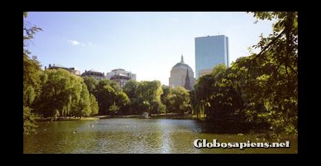 Postcard Boston Common