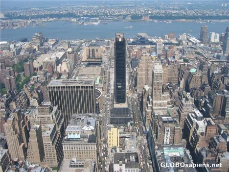 Postcard Views of Manhattan from Empire State Bldg