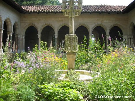 Postcard The Cloisters