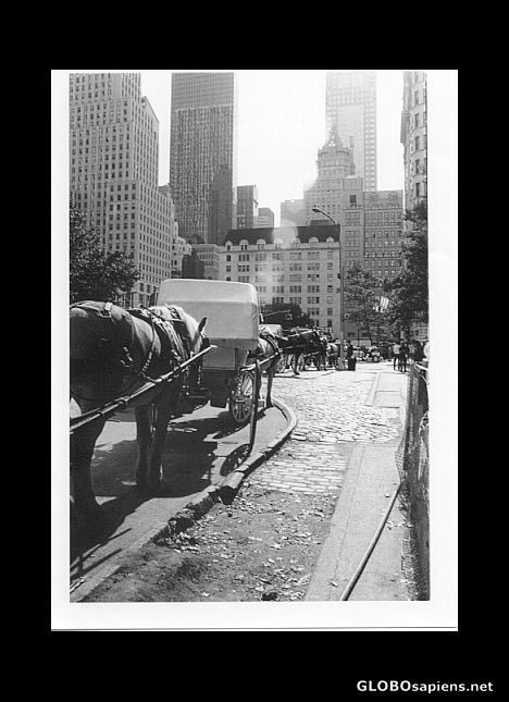 Postcard Central Park East
