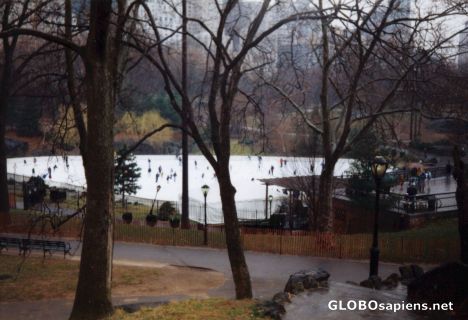 Postcard Central Park New York City in Winter