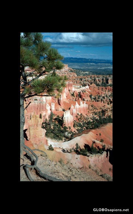 Postcard Bryce Canyon National Park, Utah, USA