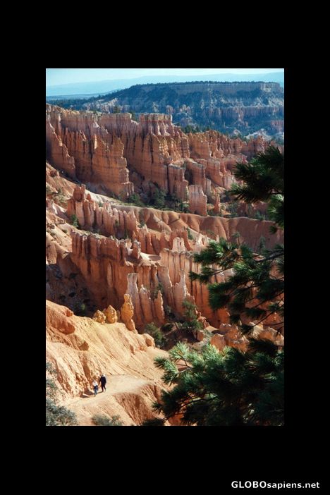 Postcard Bryce Canyon National Park, Utah, USA