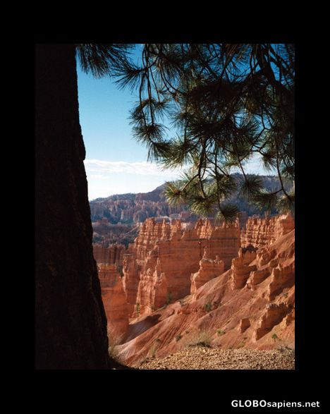 Postcard Bryce Canyon National Park, Utah, USA