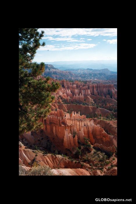 Postcard Bryce Canyon National Park, Utah, USA