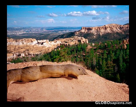 Postcard Bryce Canyon National Park, Utah, USA