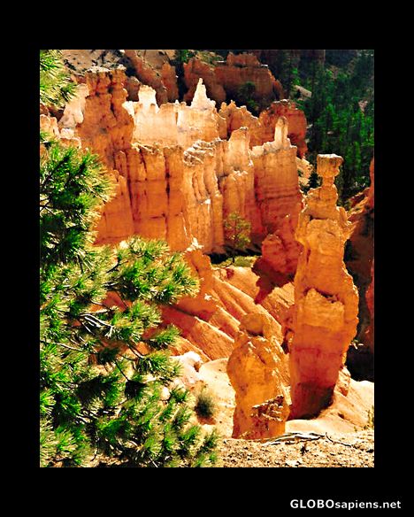 Postcard Another view of Bryce Canyon National Park Utah