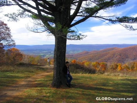 Postcard Shenandoah National Park 6