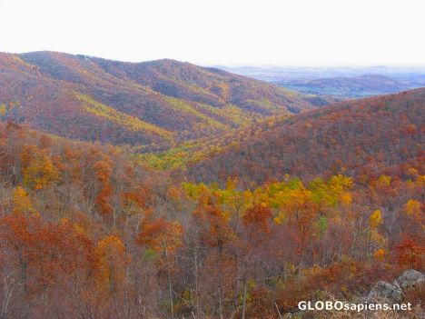 Postcard Shenandoah National Park 9