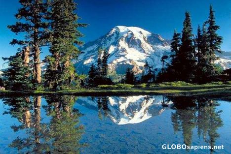Postcard Reflections of Mt. Rainier