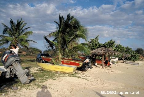 Postcard Union Island Beach Still Life