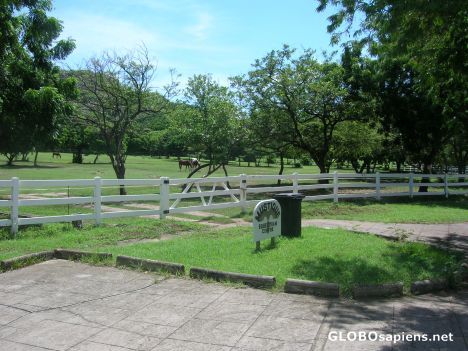 Postcard Equestrian centre