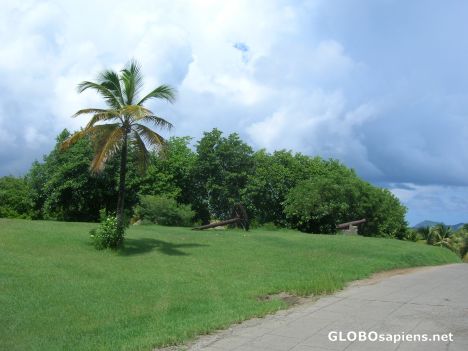 Postcard Mustique nature