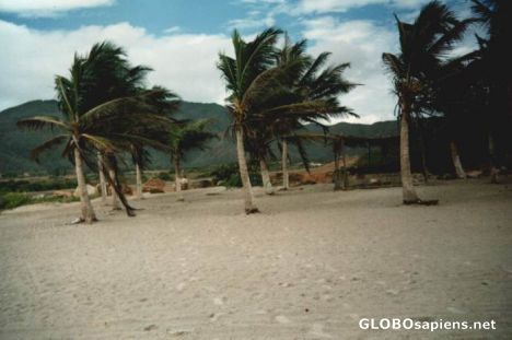 Postcard Isla Margarita