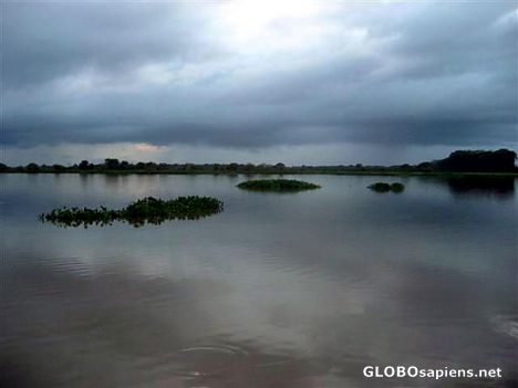 Postcard venezuela - Delta del Orinoco