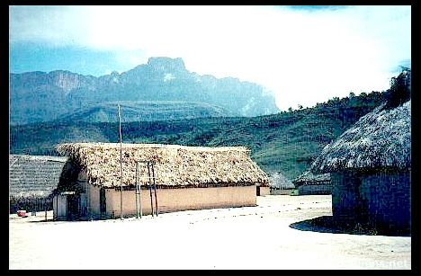 Postcard Kavak