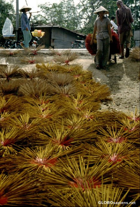 Postcard Incence Sticks II