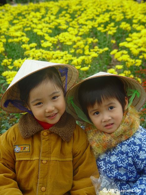 Postcard Hanoi Girls
