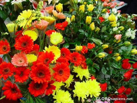 Postcard Flowers