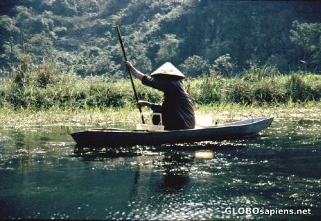 Postcard Fishing