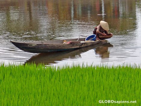 Postcard River Fishing in Hoi An