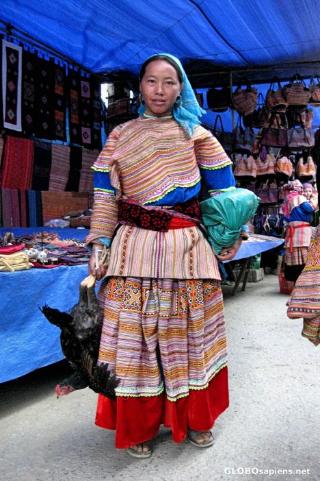 Postcard Bac Ha Sunday Market - Animal Section