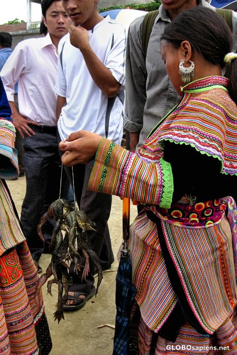 Postcard Bac Ha Sunday Market - Animal Section