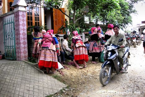 Postcard Bac Ha Sunday Market