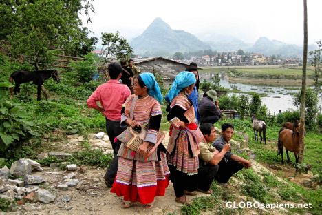 Postcard Bac Ha Sunday Market - Animal Section