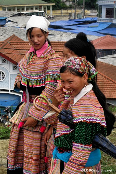 Postcard Bac Ha Sunday Market - Animal Section