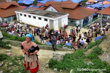 Postcard Bac Ha Sunday Market - Animal Section