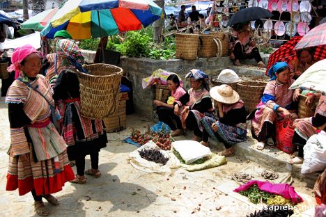 Postcard Bac Ha Sunday Market