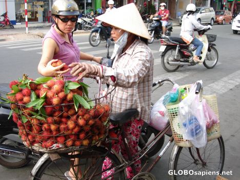 Postcard Fruit Seller