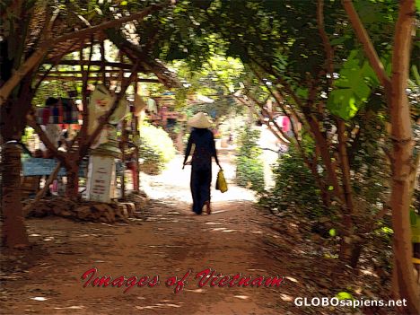 Postcard Images of Vietnam