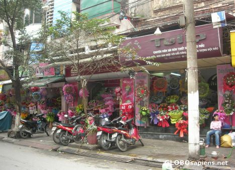 Postcard Hanoi,Vietnam