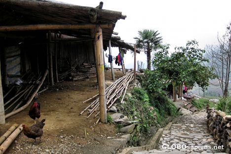 Postcard Cat Cat Black H'mong Village, Near Sapa