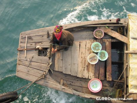 Postcard Boat on Halong Bay