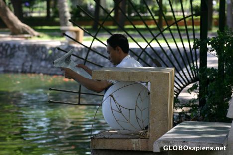 Postcard lenine park