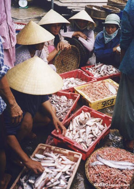 Postcard Hoi an moorning market.
