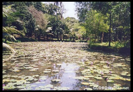 Postcard Gardens near Hue.