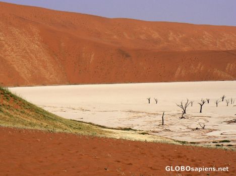 Postcard Death Vlei