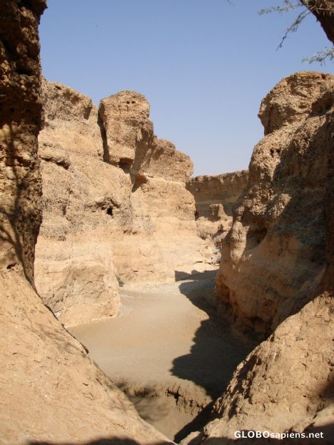 Postcard The Canyon