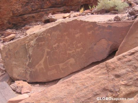 Postcard Rock engravings by Bushmen