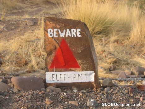 Postcard Sign warning of elephants near our campsite