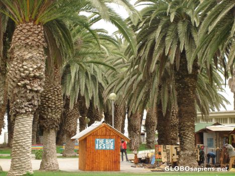 Postcard The Big Issue Swakopmund