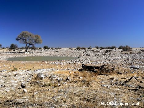 Postcard The barren land