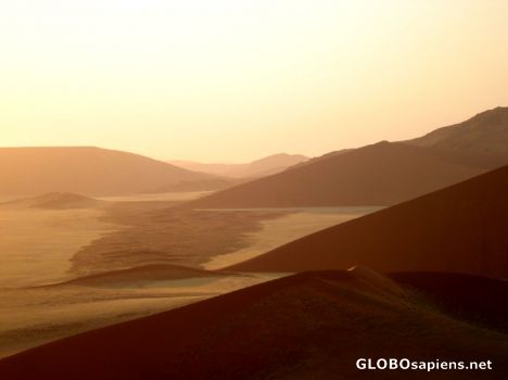 Postcard Yellow glows of the dune