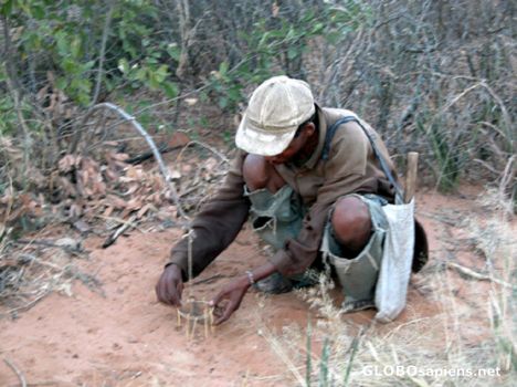 Postcard San tribe man hunting.
