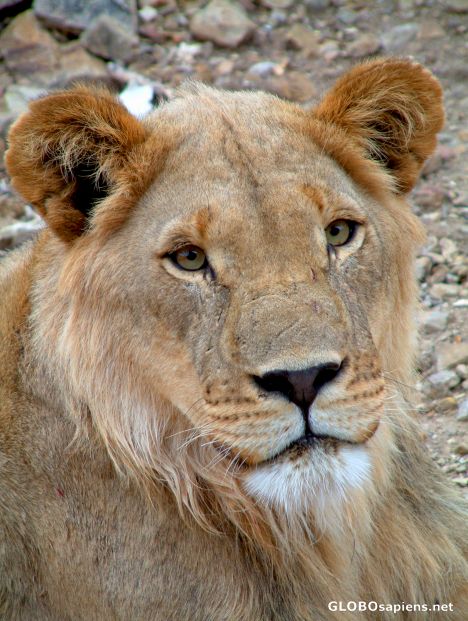 Namibia - the heir