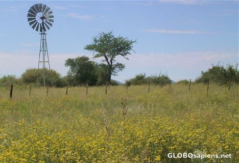Postcard Namibia after rains